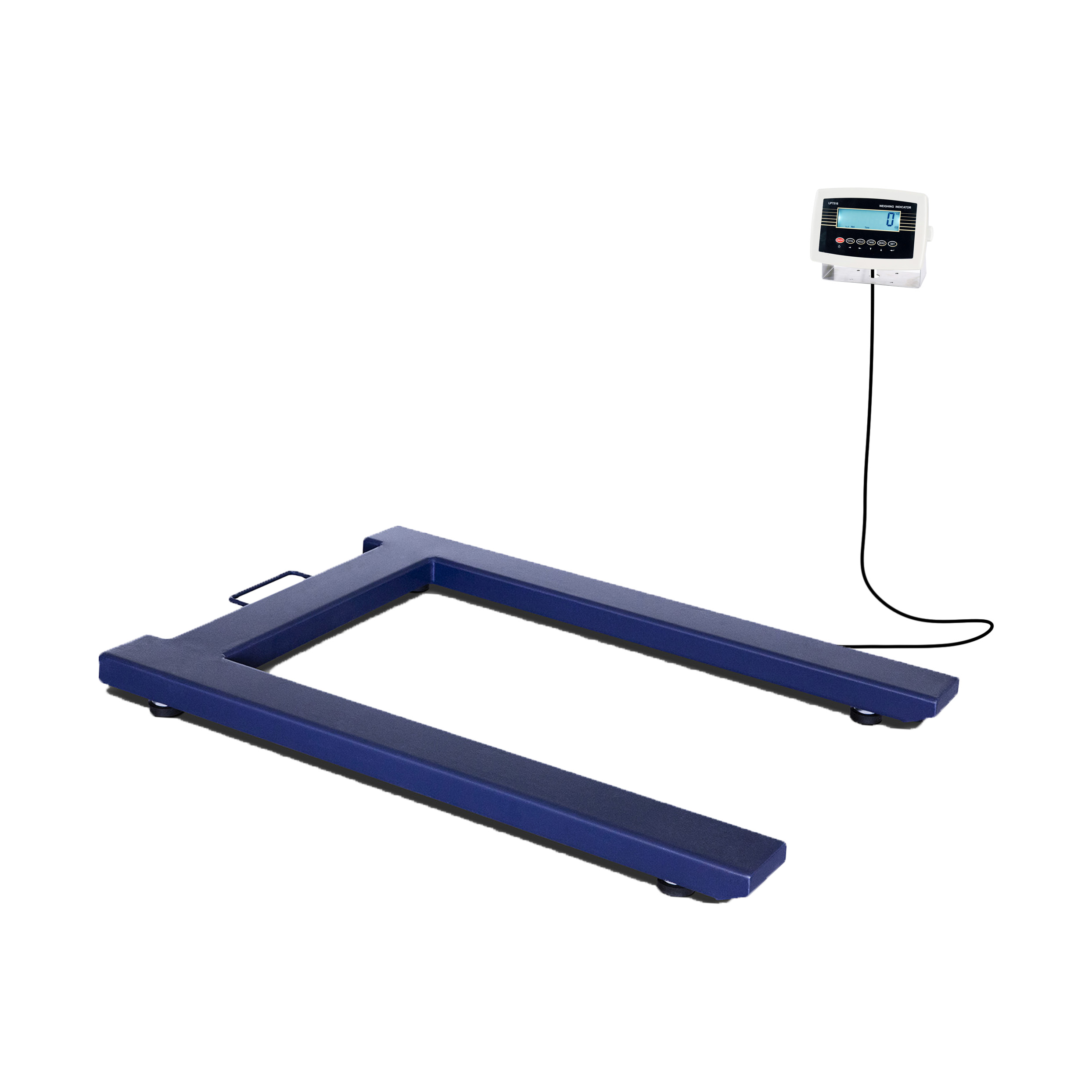 reprezentativ CLS Braus LP