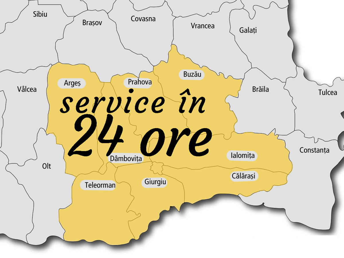 service cantare auto