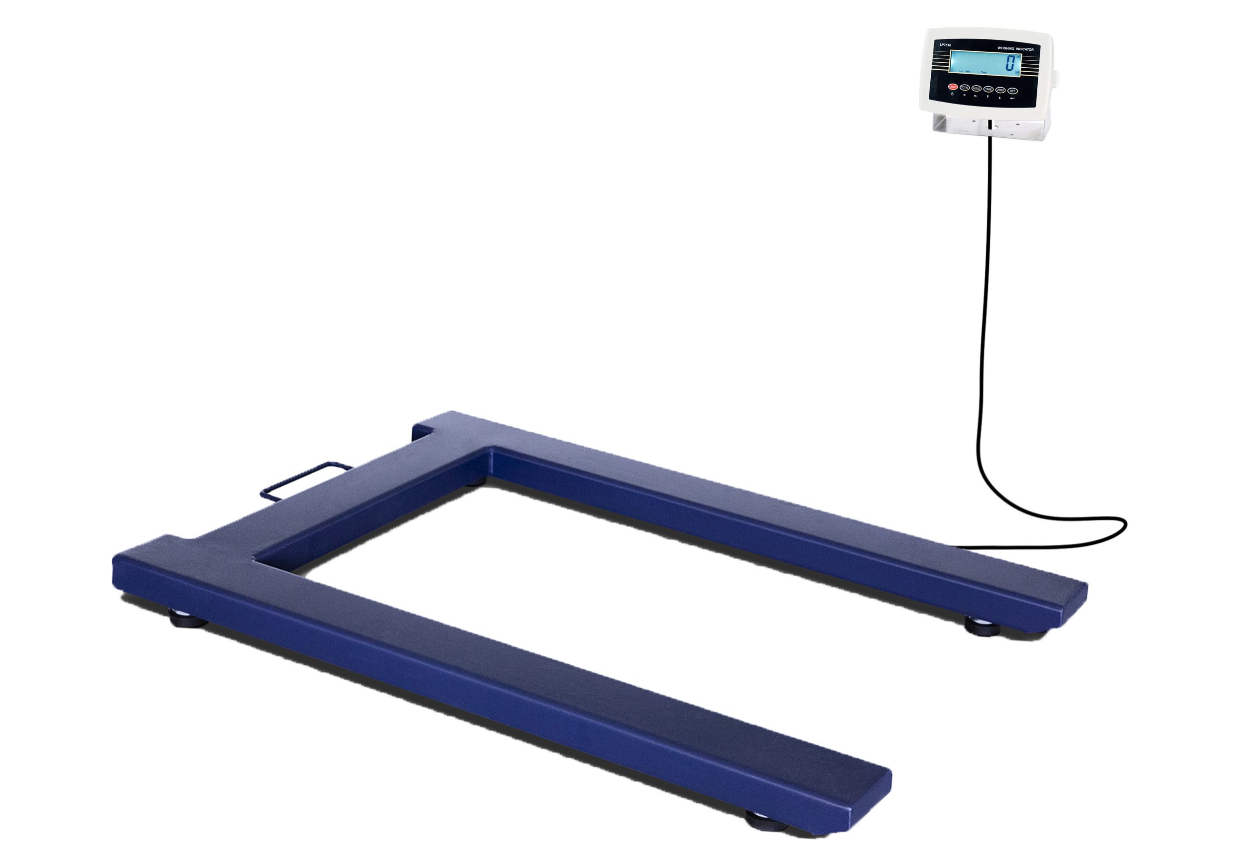 reprezentativ CLS Braus LP